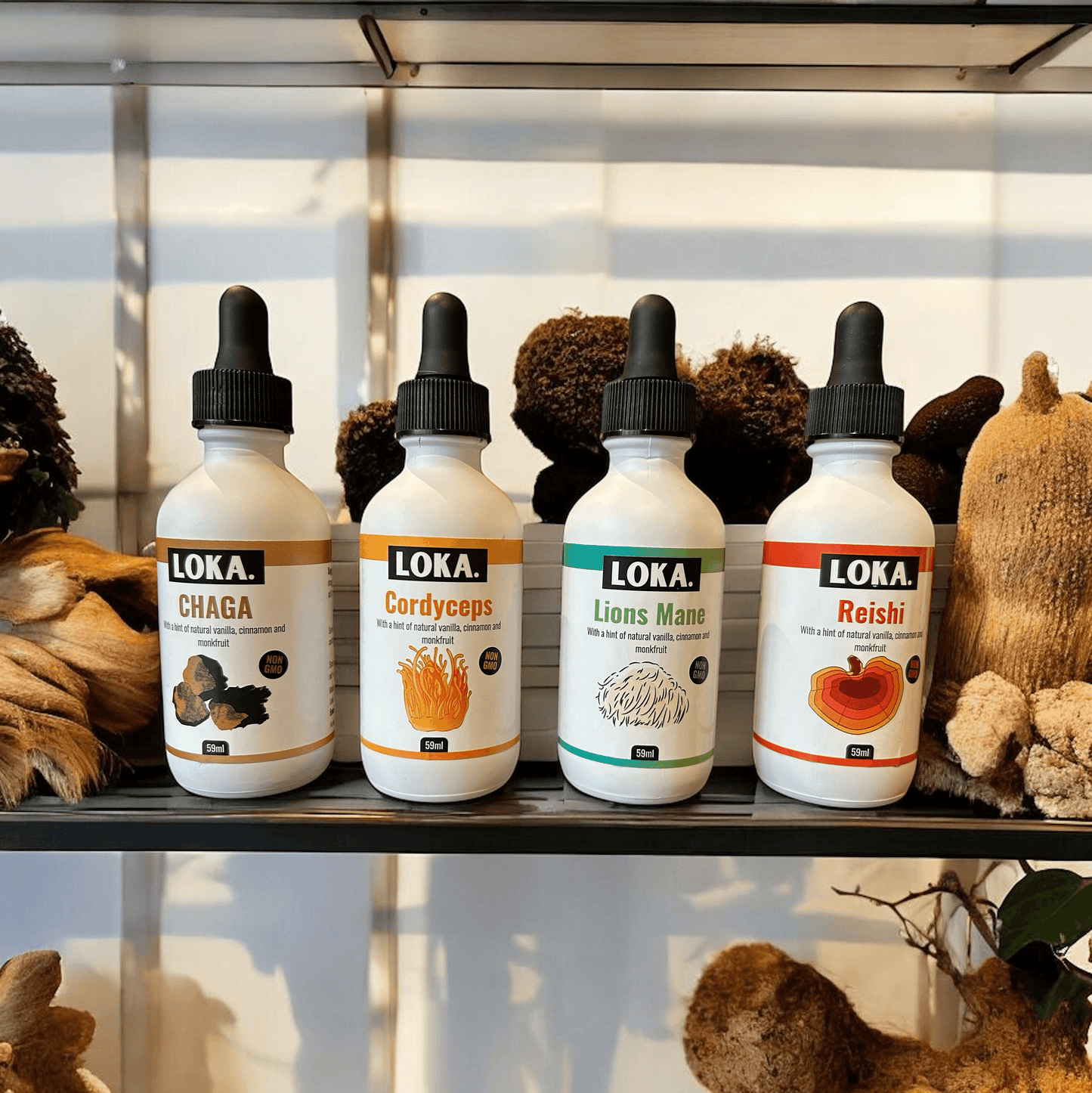 Full Functional Mushroom Set – All 4 Tinctures – £98.00 featuring LOKA Chaga, Cordyceps, Lions Mane, and Reishi dual-extracted herbal supplements.