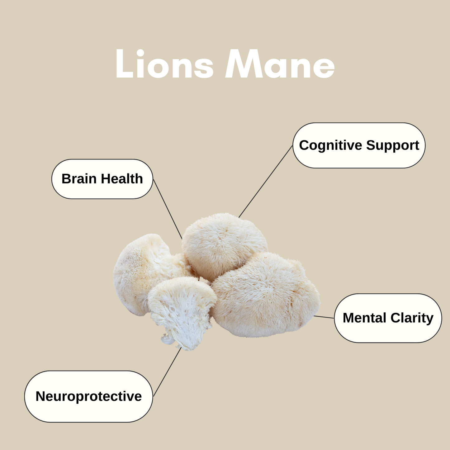 lions mane healrh benefits