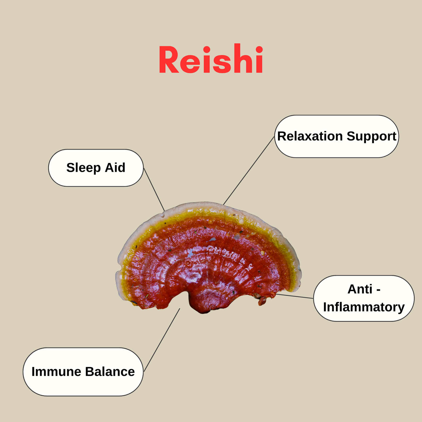 reishi mushroom health benefits