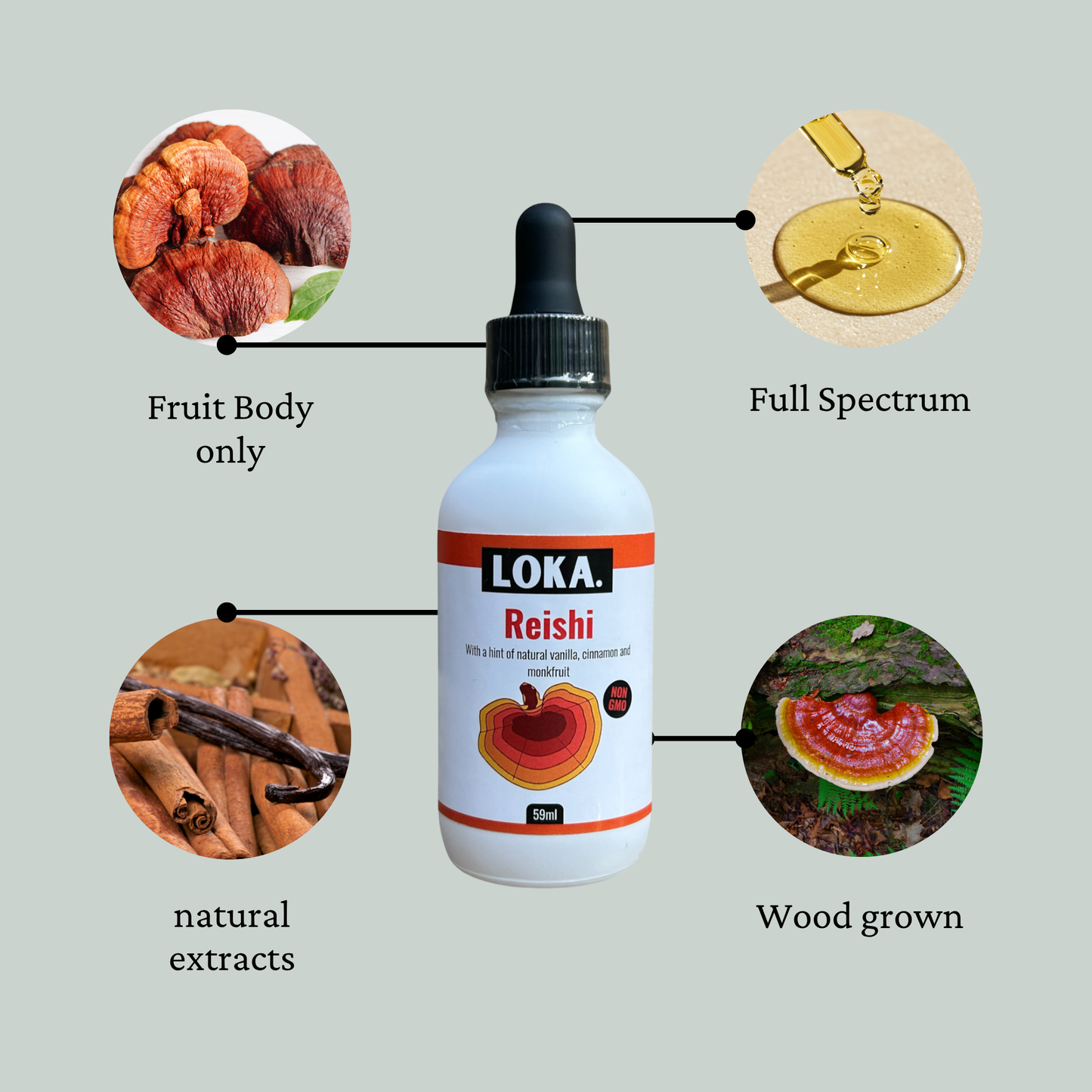Reishi wood grown and other information