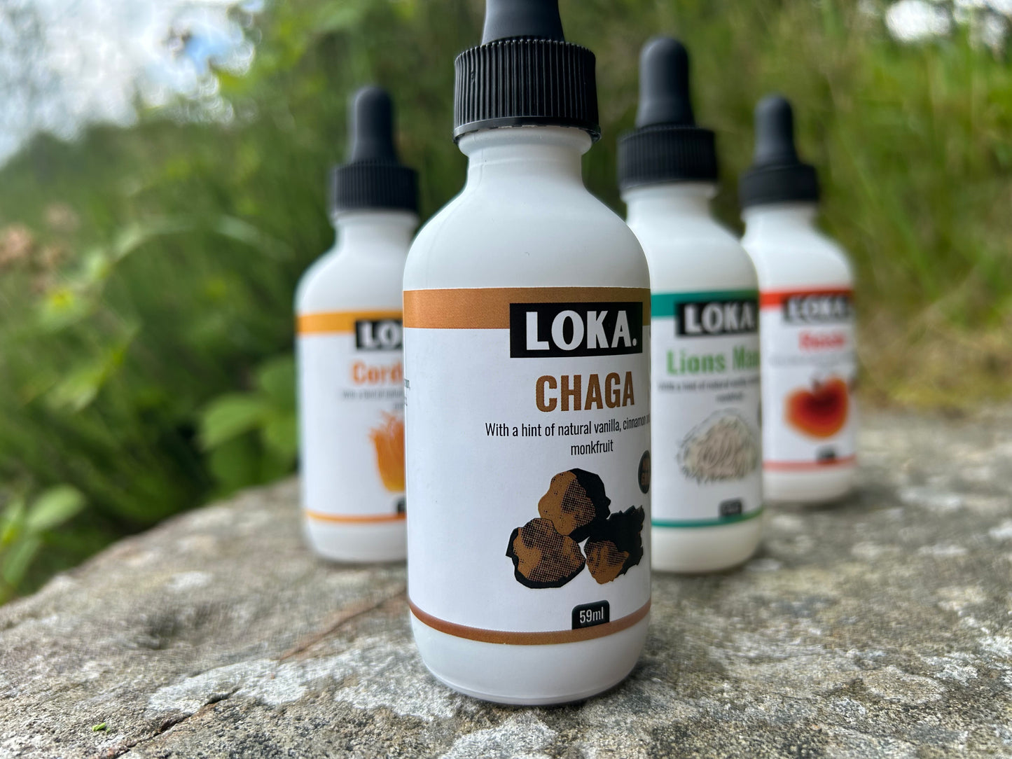 Full Functional Mushroom Set – All 4 Tinctures – £98.00 featuring LOKA Chaga, Cordyceps, Lions Mane, and Reishi tinctures on a natural stone surface.