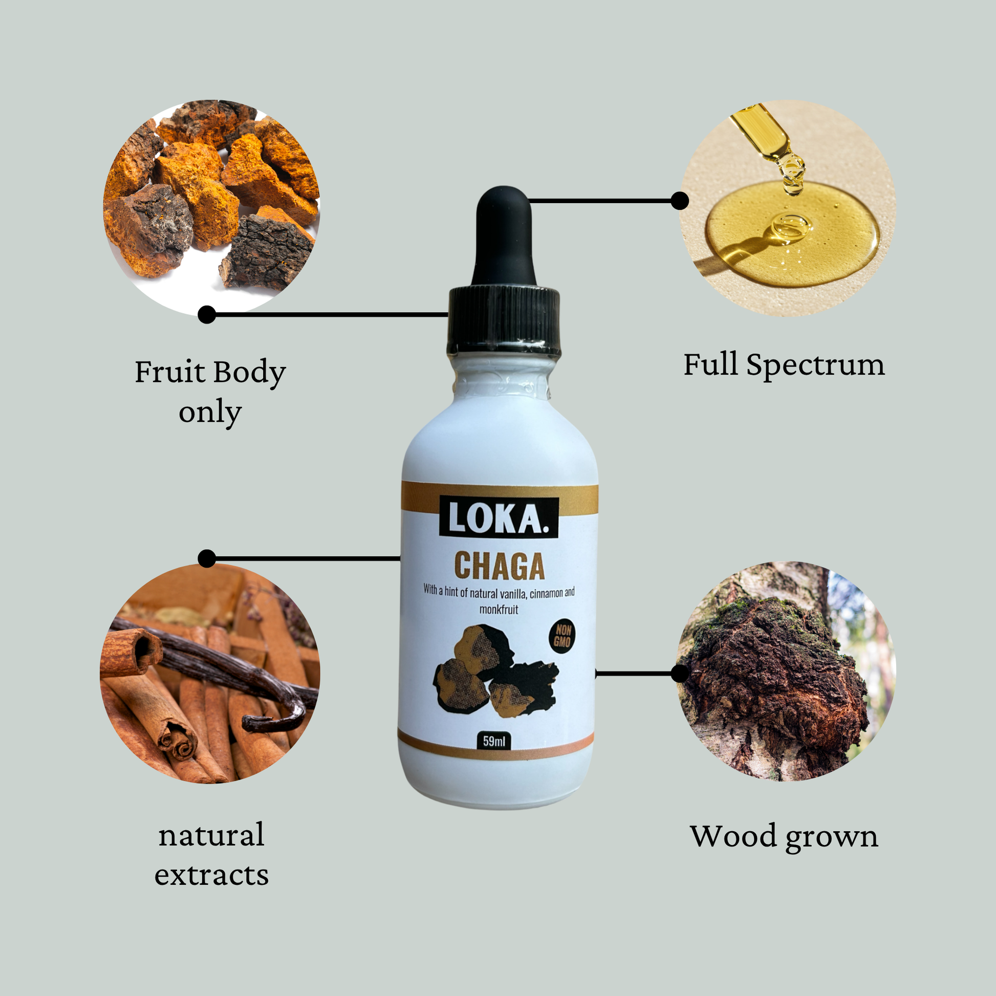 Chaga wood grown and ingredients ifo