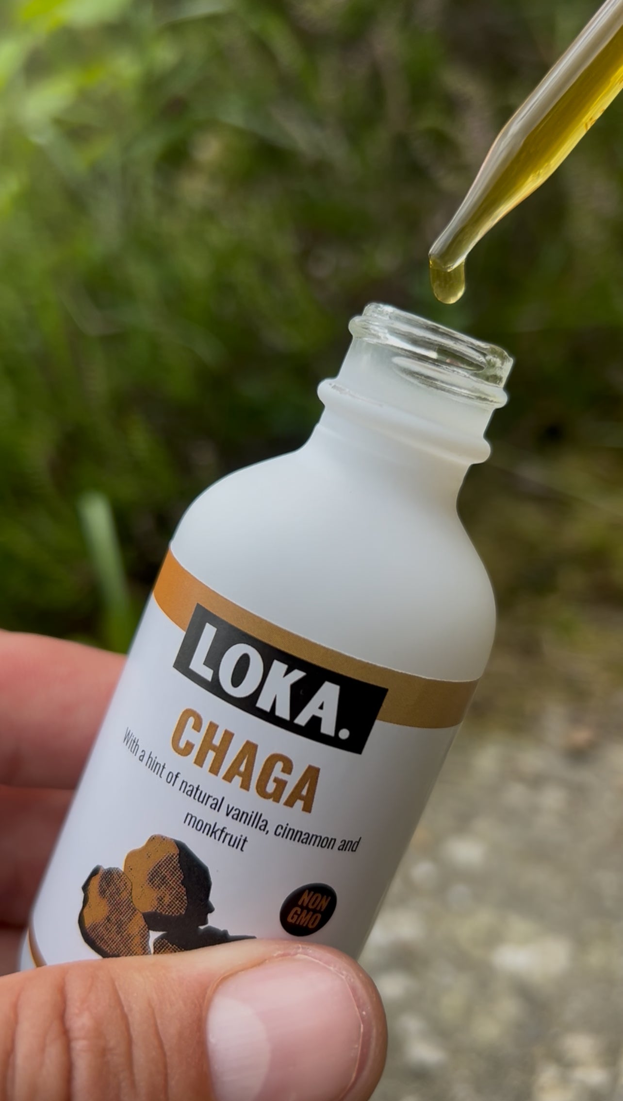 chaga 59ml mushroom drops