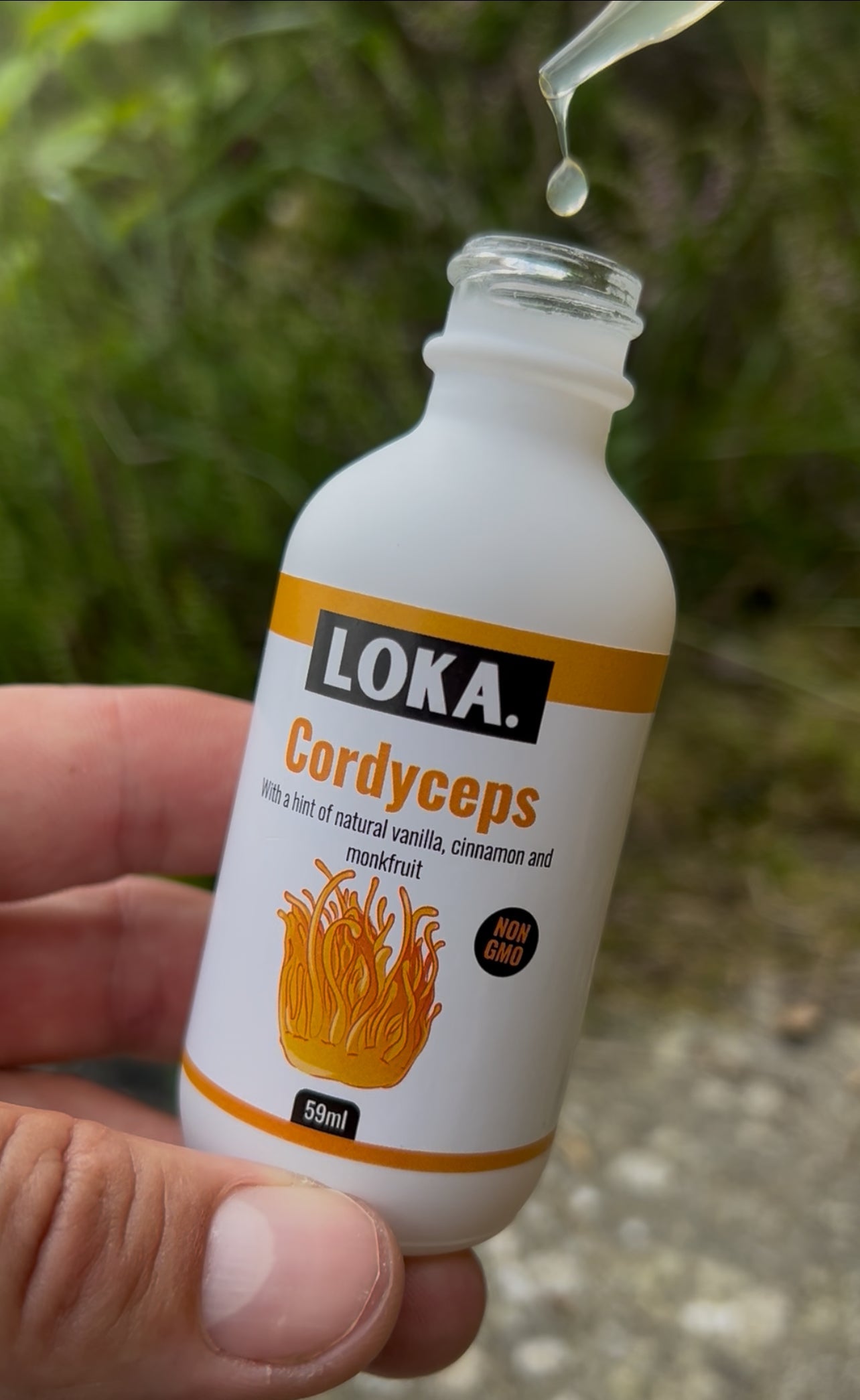 LOKA Cordyceps tincture bottle with dropper, part of Full Functional Mushroom Set – All 4 Tinctures – £98.00. Features natural vanilla, cinnamon, and monkfruit.