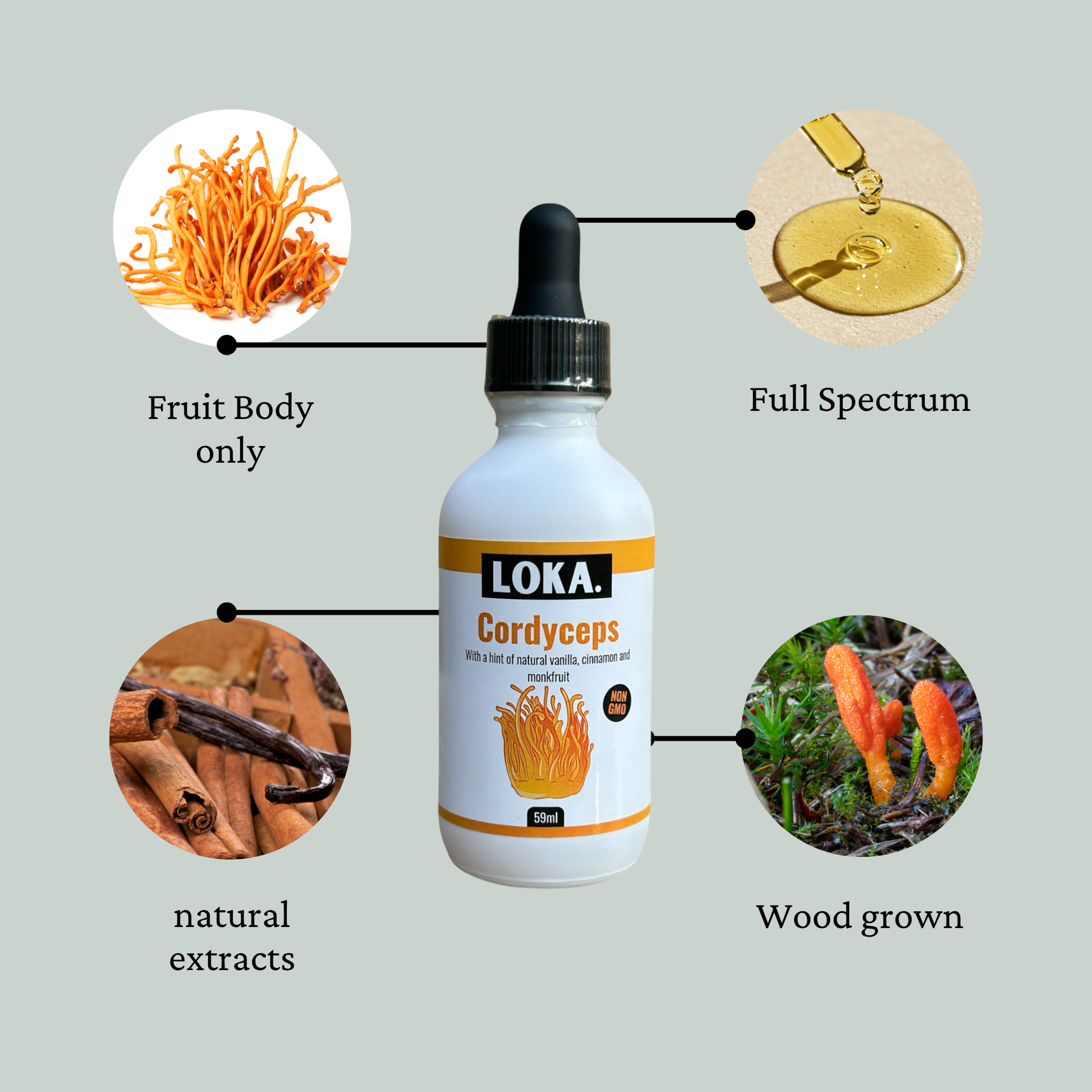 cordyceps woodgrown full spectrum natural extracts fruit body only