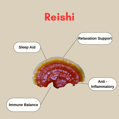 reishi mushroom health benefits