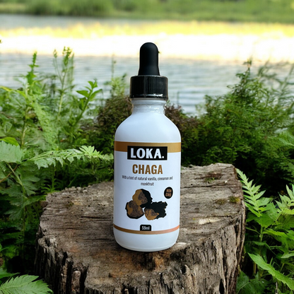 Chaga tincture in nature